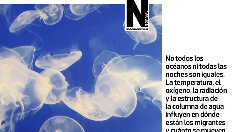 Migración oculta SITIO5